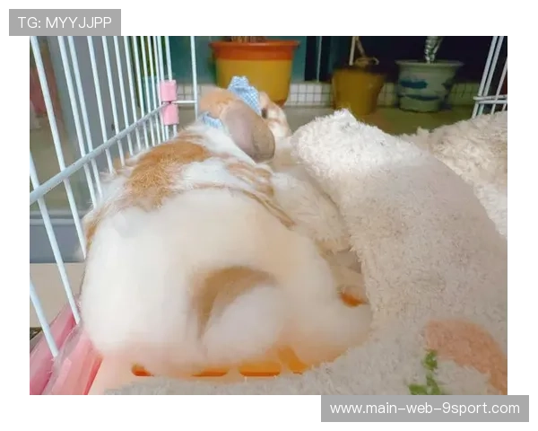 运动员“萌宠助威”集锦：赛场上的萌萌宠物！